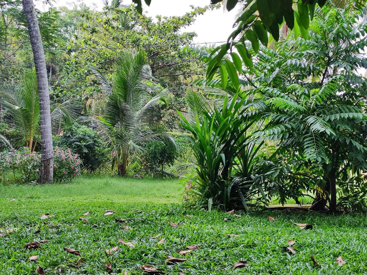 Schatzi'S Hideaway Tangalle Extérieur photo