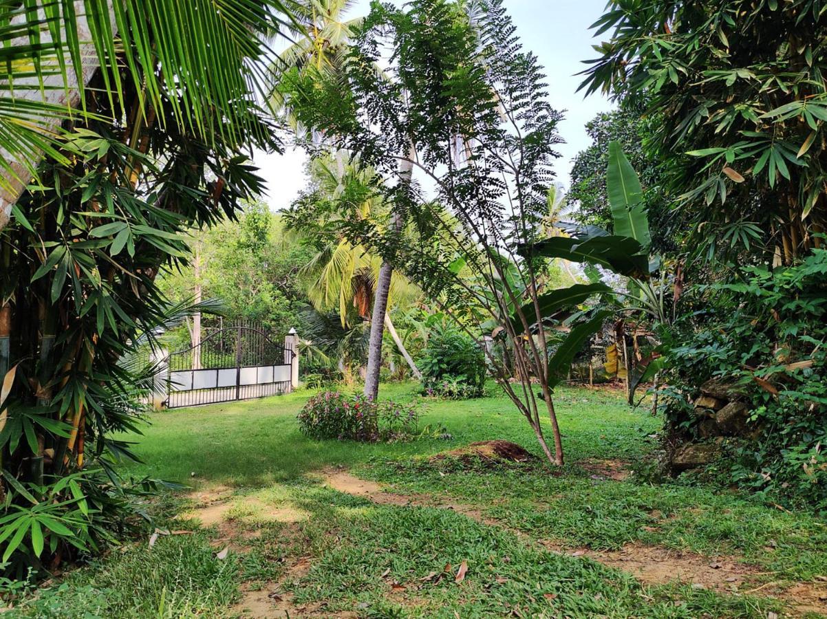 Schatzi'S Hideaway Tangalle Extérieur photo